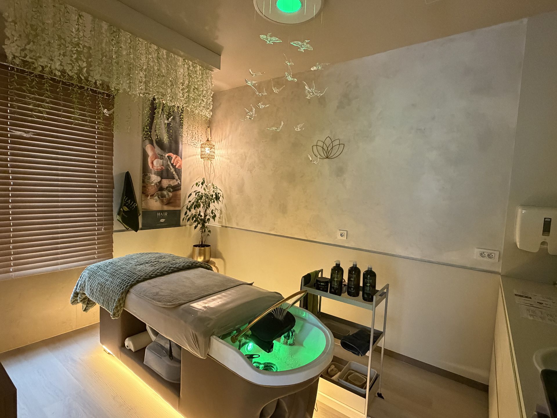 Japanse Headspa